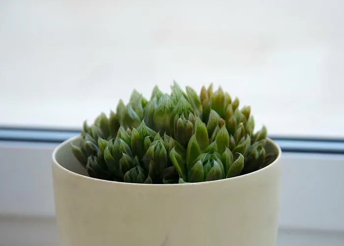 アパート Bm1 - Blue Marine *