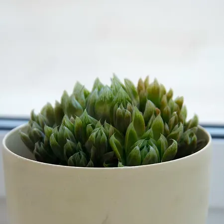 Apartment Bm1 - Blue Marine *